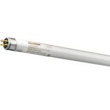 36W/125-740 105cm T8