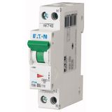 PLN6-C2/1N-DE Small circuit breaker, instead of --> 279154