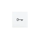 SWITCH BUTTON SYMBOL KEY 20-PACK