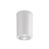 Ceiling Spot Light White  D:90 Melinda