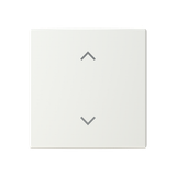 F@H, BT, FoH Control swipe 1-v blinds SI-B alpine white