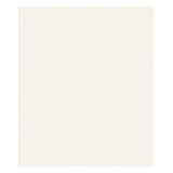 Blank module 2M white