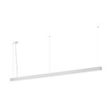PASTRENGO 3 Snake 32W 3239lm 840 230V LED white