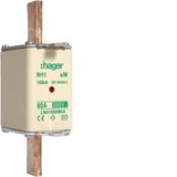 NH fuse NH1 690V aM 80A twin indicator live gripping-lug