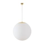 LED-5L07C10ZS11/099/L100 MS DALI 4000