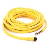 Allen-Bradley, 889N-F5AFC-6F, Mini/Mini Plus, Female, Straight, 5-Pin, PVC Cable, Yellow, Unshielded, US Color Coded, No Connector, 6 feet (1.83 meters)