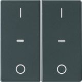 Cover I/O f. 2gang f. push-b. module, clearlenses, Q.1/Q.3, ant. velve