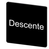 Labeling plate 27 x 27 mm, label black, labeling: Descente
