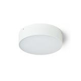 LARISA OUT 22 surface mounted white 230V LED 20W IP65 3000K 4000K 5700K