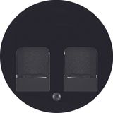 Centre plate 2 dust prot. sliders, R.1/R.3, black glossy