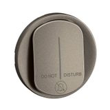 INDICATOR LAMP ROCKER TITANIUM
