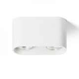 MANTOVA II ceiling matte white 230V LED GU10 2x7W