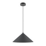 Modern Basic colors Pendant lamp Black