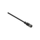 M12 female wired connector: straight, 8 poles, 5 m cable, cable sheath PVC