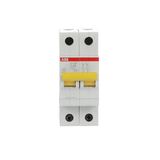 SV202-C16 Miniature Circuit Breaker - 2P - C - 16 A
