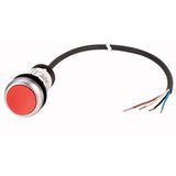 C22-D-R-K01-P65 Pushbutton, Flat, momentary, 1 NC, Cable (black) with non-terminated end, 4 pole, 3.5 m, red, Blank, Bezel: titanium