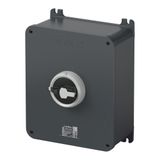 Rotary Isolator Switch HP 100A 4P IP66/IP69 Surface Mount Aluminium