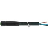 M8 female 0° A-cod. with cable V4A FEP 5xAWG22 bk 3m