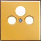 Centre plate for SAT-TV socket GO2990SAT