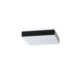 LED-1L32C07NU2/PC32C/NK1W HF 4000
