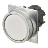 Pushbutton A22NZ Ã˜22, bezel brushed metal, FLAT, MOMENTARY, CAP COLOR A2270076C