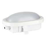 LED Bulkhead Basic 6W 4000K White Oval
