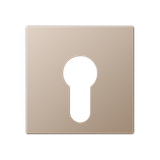 Cover plate f. key switch A525PLCH