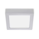 LED surface lightincl. 1 x LED-platine 11W 1.050lm 4.000K