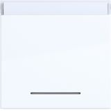 Rocker single, text field, clear lens, A.x/C.x, light white glossy