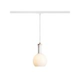 PULIRE RD for 1-circuit tracks opal-colored glass/wood 230V LED E14 6W