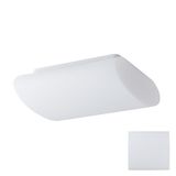 ALTAIR 1S LED-1L35C07US20/420 DALI 4000