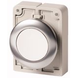 M30I-FD-W Pushbutton, RMQ-Titan, flat, momentary, White, blank, Front ring stainless steel