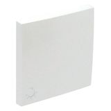 ROCKER F/SWITCHES W/LAMP SYMBOL ICE