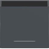 Rocker single, text field, clear lens, A.x/C.x, anthracite
