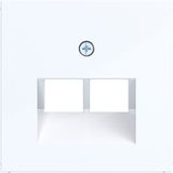 Central pl data socket 2-way, angled output, A.x/C.x light white glass.