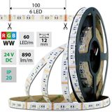 LED strip SMD5050 RGB + WW, 60LED/m, 19,2W/m, 890lm/m, IP20, DC 24V, 12mm, 5m
