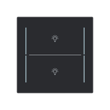 LFBT/A.2.70.1-45M Cover plate with legend with Symbol "light" black matt - Trevion®