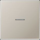 Rocker 1-gang, with lens, steel