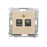 Double fiber optic sockets, champagne matt