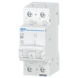 Miniature circuit breaker LTS-6B-2