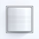 Pilot signal with cover frame, A.1, light white glossy