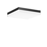 FLAT SLIM square, 29...42 W, 2900...4500 lm, 830, 840, anthracite, sma