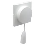 C.P. F/PULL-CORD PUSH-BUT/TWO-WAY SWITCH ICE