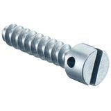 Sealing screws L=40 mm, with cross hole in screw head