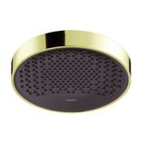 Rainfinity 250 1jet Eco overhead shower, polished gold