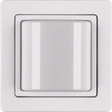 Light signal frame, Q.1, p. white velvety