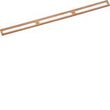 Section rail with quick connection 1pole 10mm² length 191mm Cu without