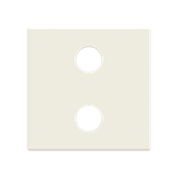 2RCA con unit cover plate