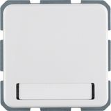 WCD RA with hinged cover and text window IP44 flush-mounted, polar white
