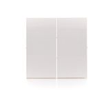 Double button for switches and push buttons, white